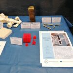Science on Stage Festival – ITALIA